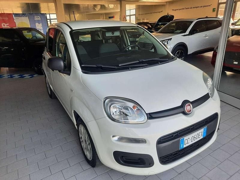 Usata Fiat Panda Easy 69 CV (50 kW) 2020 Bianco gelato Utilitaria