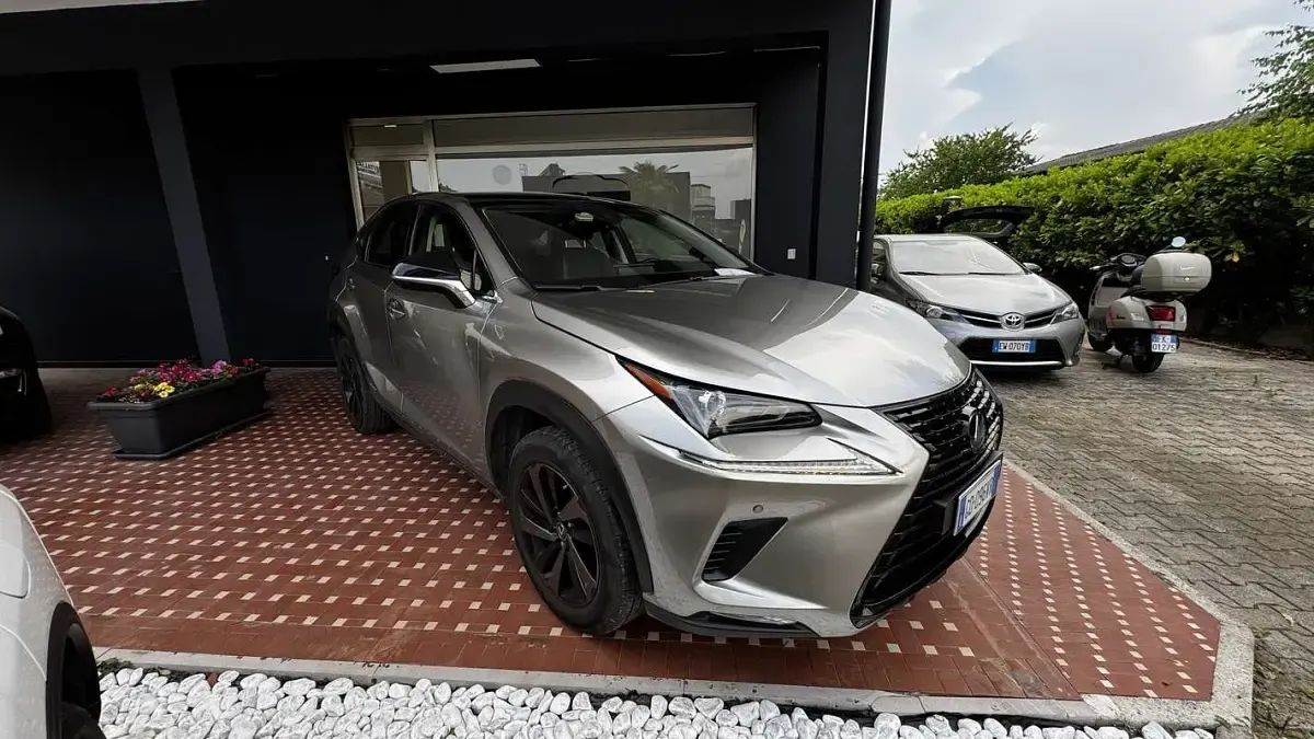 Usata Lexus NX300h Sport Line 197 CV (144 kW) 2021 Grigio SUV