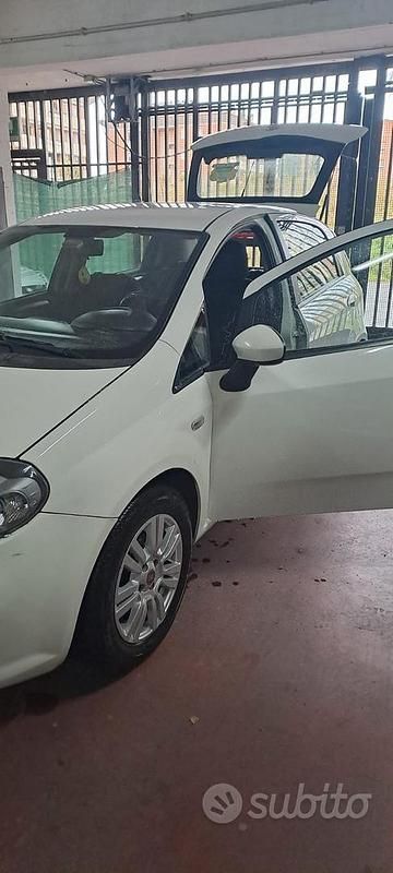 Usata Fiat Punto Evo 75 CV (55 kW) 2014 Bianco Utilitaria
