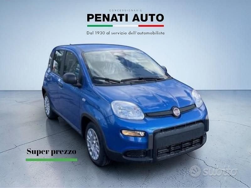 Usata Fiat Panda Pop 70 CV (51 kW) 2024 Bianco Utilitaria