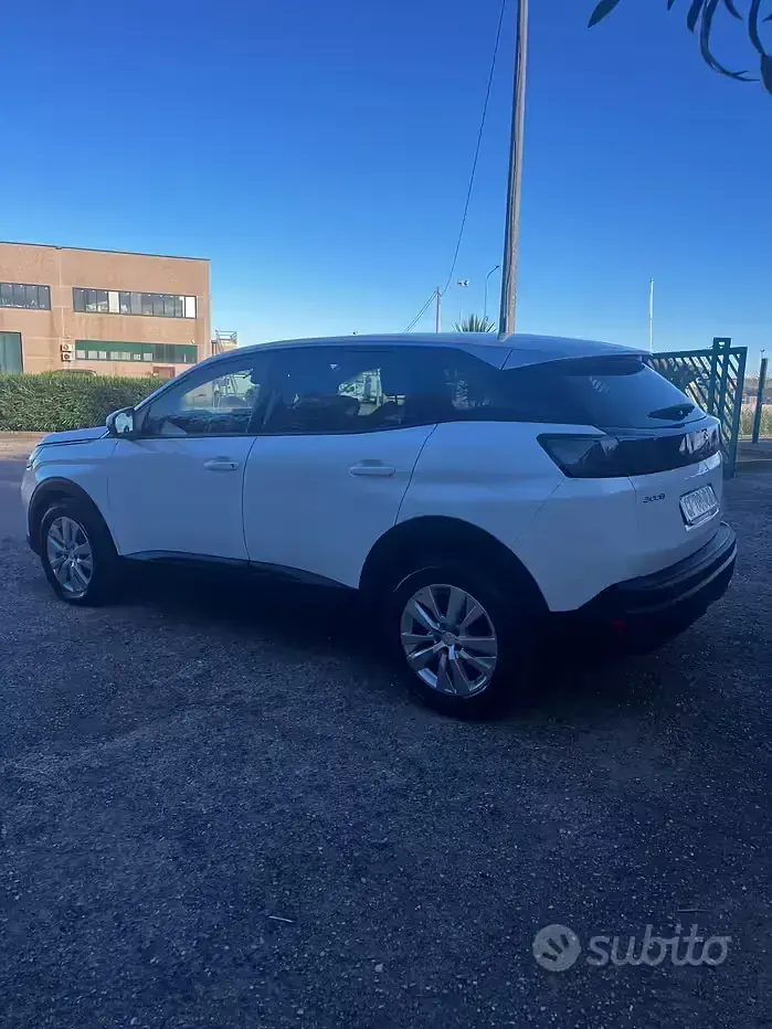 Usata Peugeot 3008 Business-Line 131 CV (96 kW) 2021 Bianco SUV