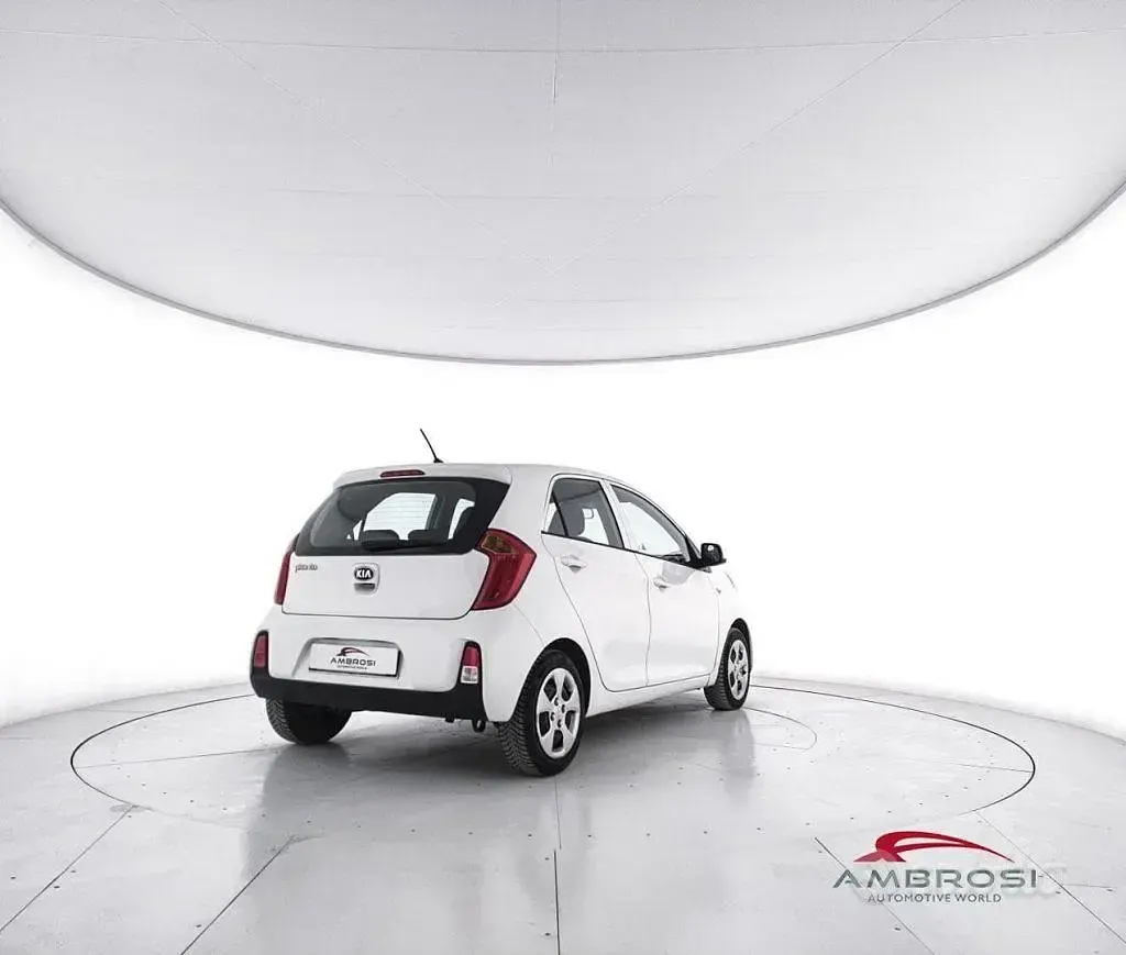 Usata Kia Picanto 65 CV (47 kW) 2016 Bianco Utilitaria