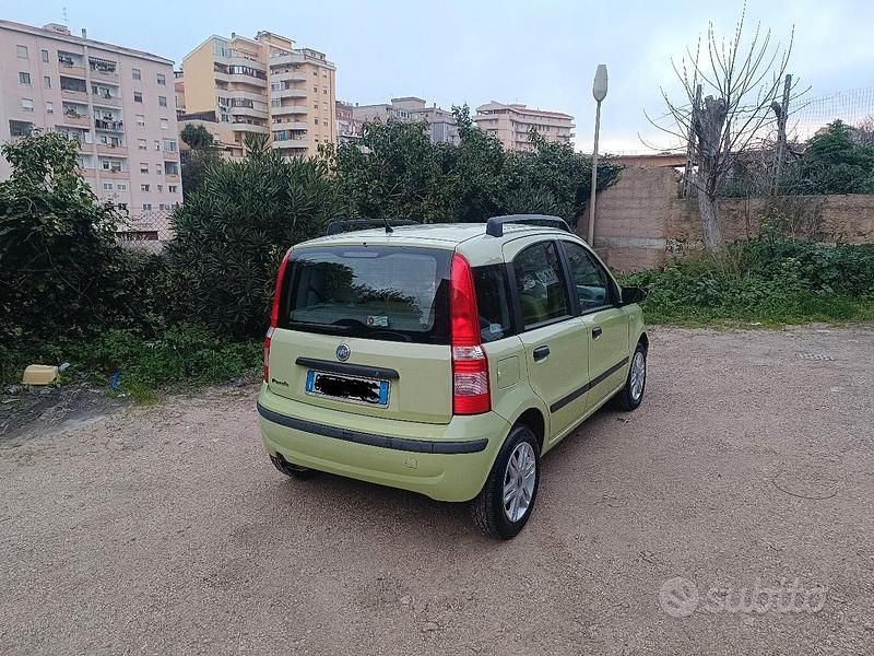 Usata Fiat Panda 75 CV (55 kW) 2005 Verde Utilitaria
