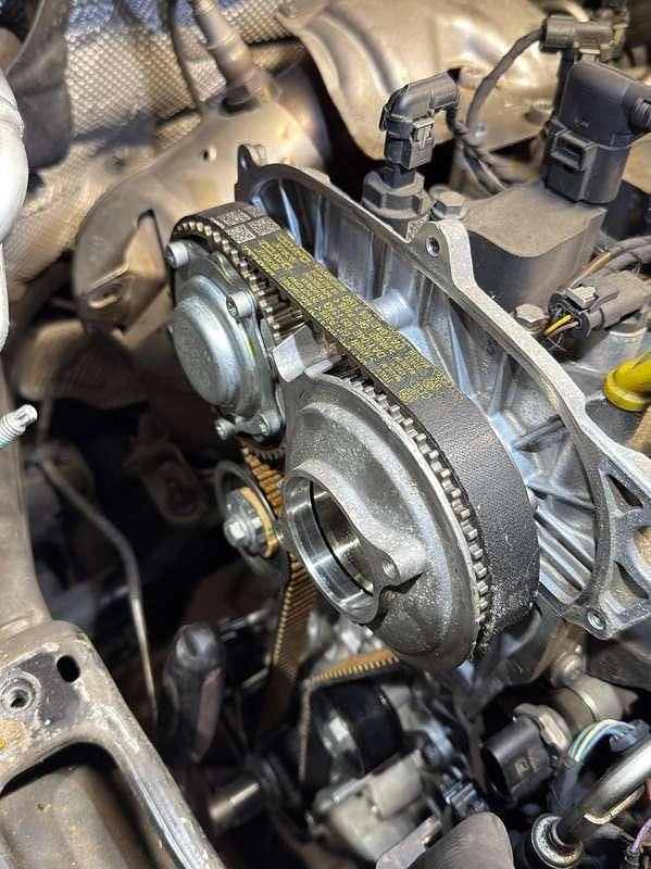 Usata Seat Leon Business 131 CV (96 kW) 2019 Berlina