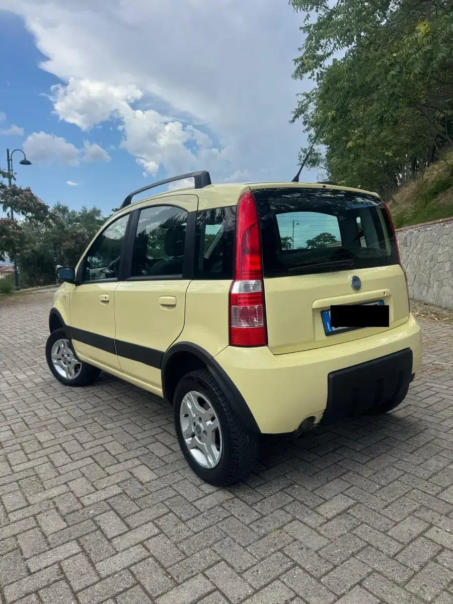 Usata Fiat Panda 4x4 Climbing 69 CV (50 kW) 2007 Giallo Utilitaria