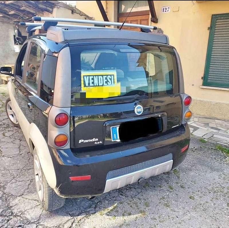 Usata Fiat Panda 4x4 Cross 69 CV (50 kW) 2006 Verde Utilitaria