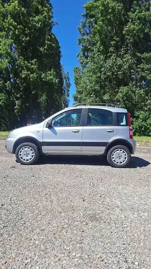 Usata Fiat Panda 4x4 60 CV (44 kW) 2006 Grigio Utilitaria