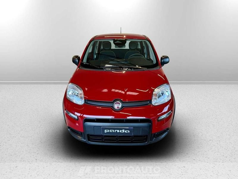 Usata Fiat Panda S 70 CV (51 kW) 2024 Rosso passione Utilitaria