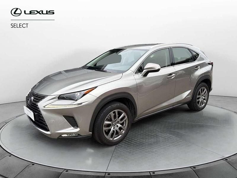 Usata Lexus NX300h Executive Line 197 CV (144 kW) 2020 Grigio SUV