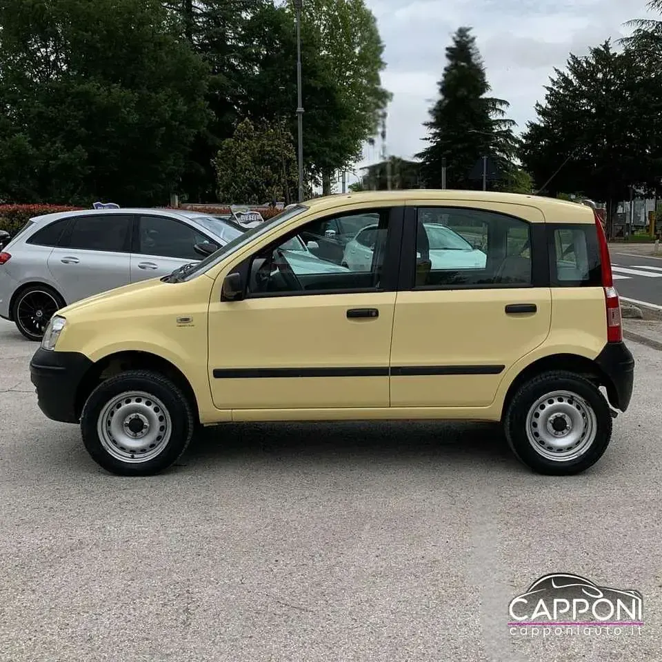 Usata Fiat Panda 4x4 60 CV (44 kW) 2005 Giallo Utilitaria