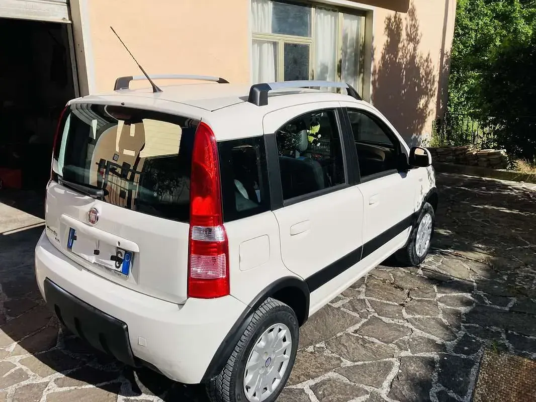 Usata Fiat Panda 4x4 Climbing 69 CV (50 kW) 2011 Utilitaria