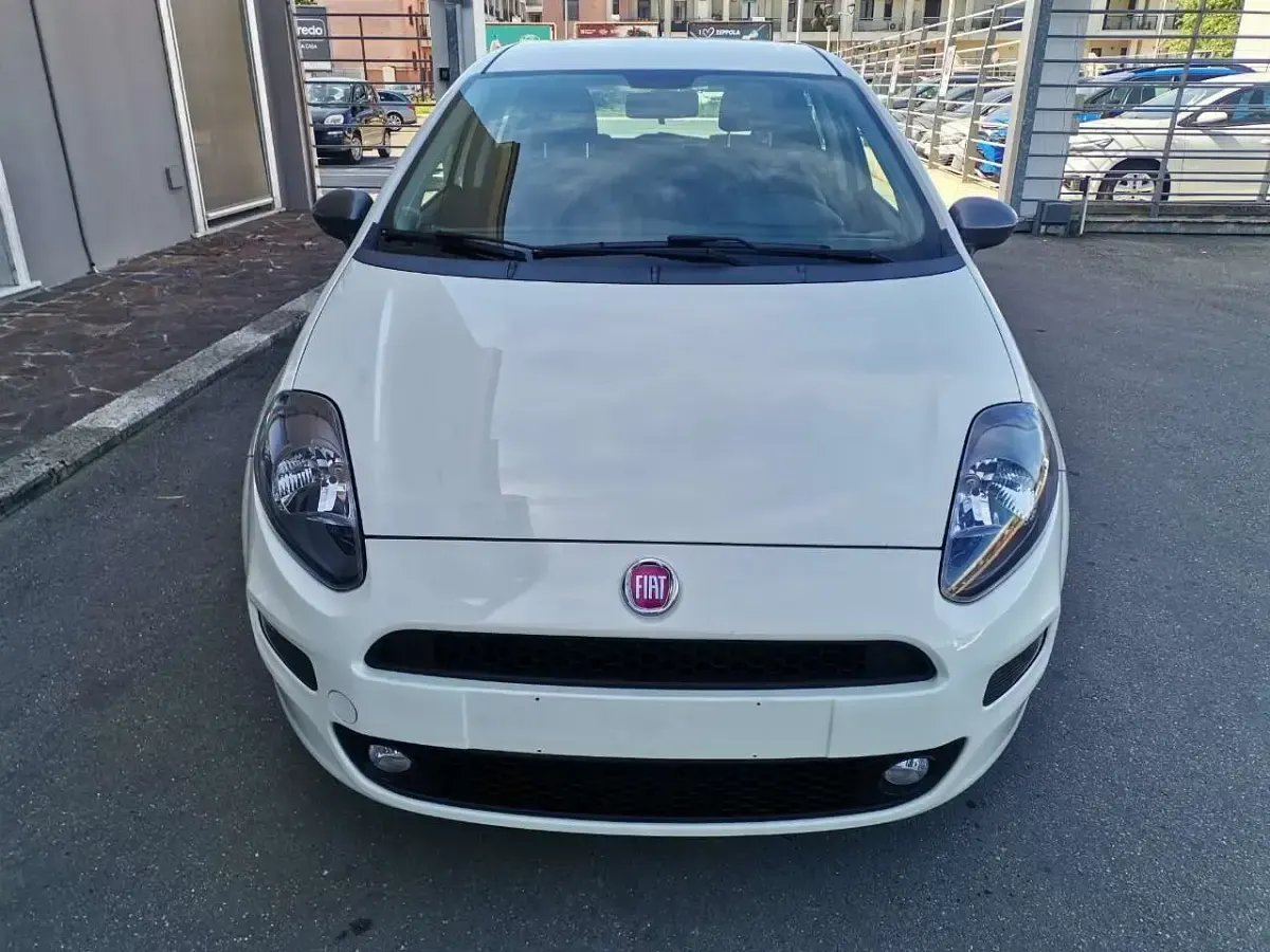 Usata Fiat Punto Young 69 CV (50 kW) 2015 Bianco Utilitaria