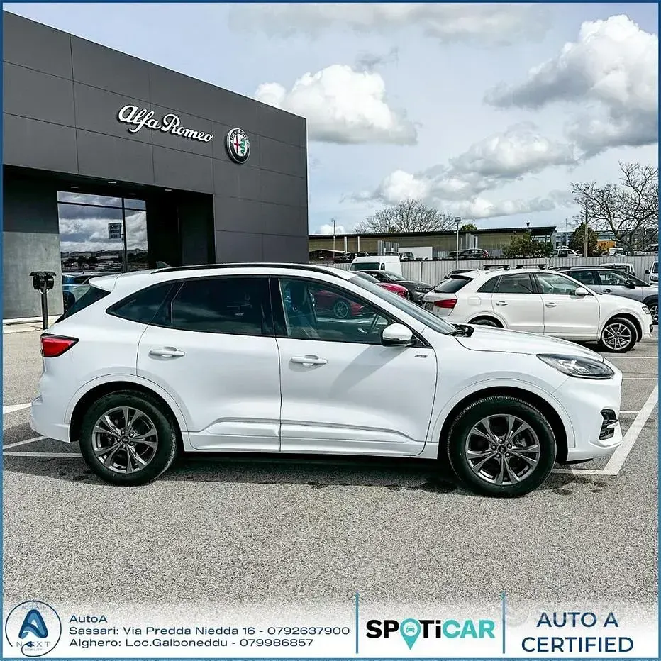 Usata Ford Kuga ST 152 CV (111 kW) 2021 Bianco SUV