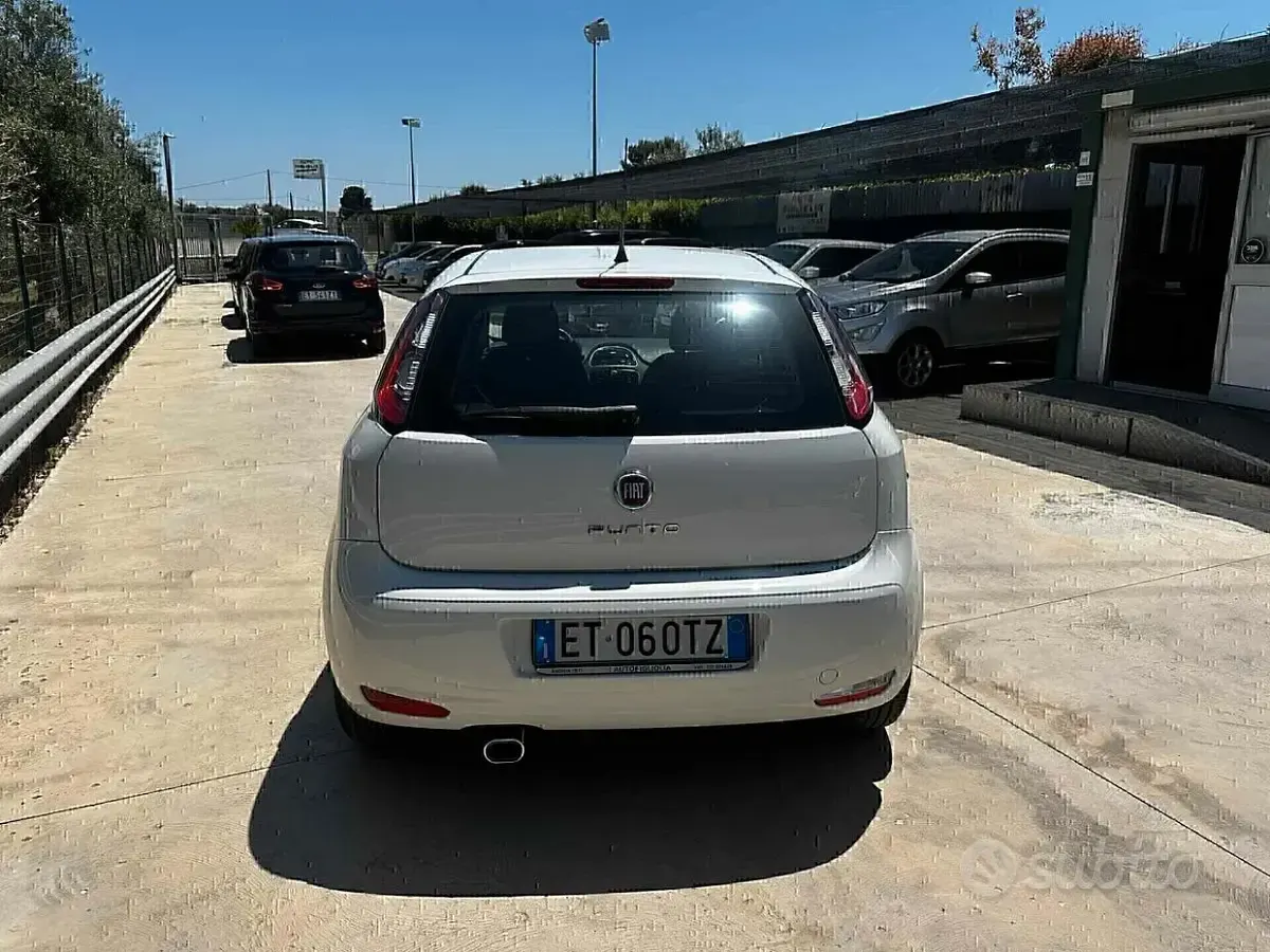 Usata Fiat Punto Lounge 85 CV (62 kW) 2014 Bianco Utilitaria