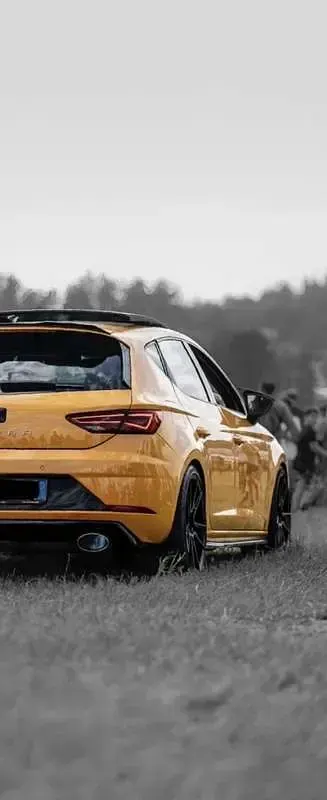 Usata Seat Leon CUPRA 290 CV (213 kW) 2019 Berlina