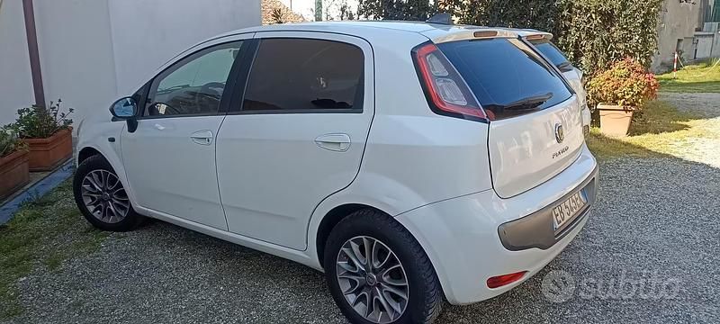 Usata Fiat Punto Evo 2012 Bianco Utilitaria