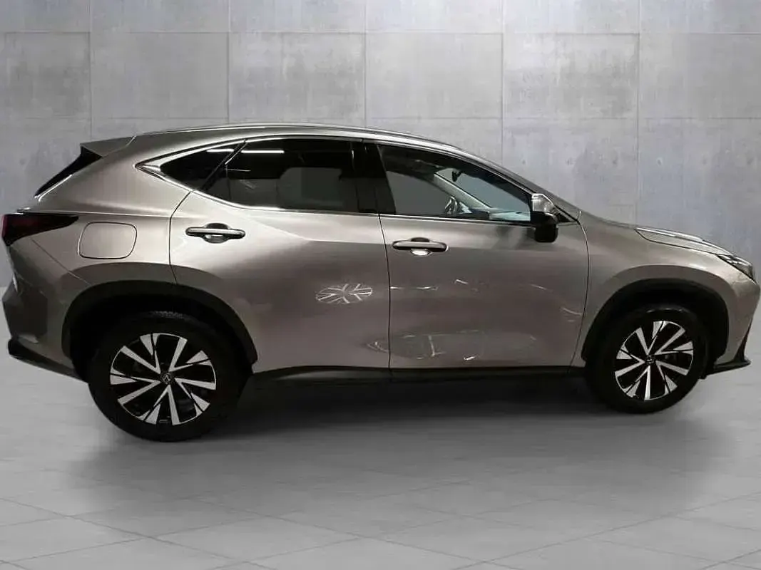 Usata Lexus NX450h+ Executive Line 185 CV (136 kW) 2023 Grigio SUV