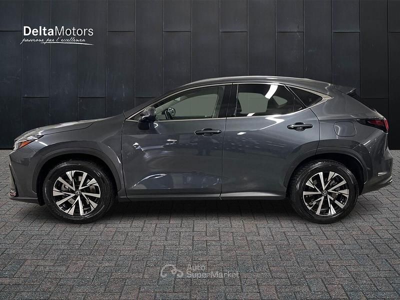 Usata Lexus NX450h+ 185 CV (136 kW) 2022 Grigio SUV