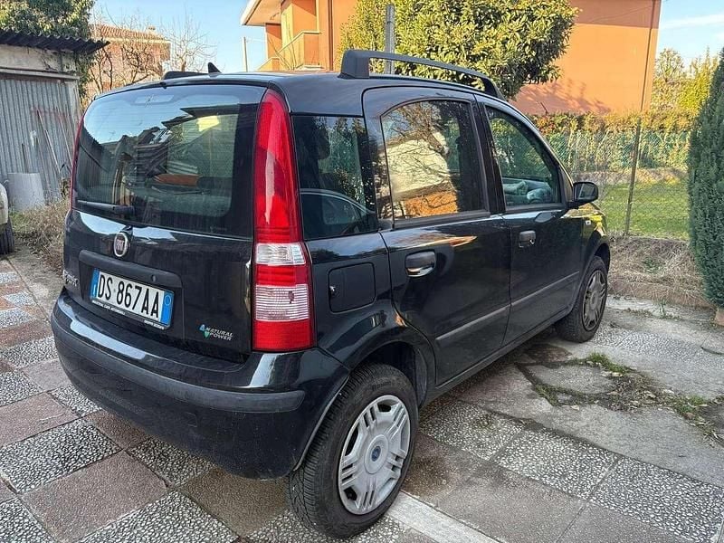 Usata Fiat Panda Dynamic 60 CV (44 kW) 2008 Nero Utilitaria