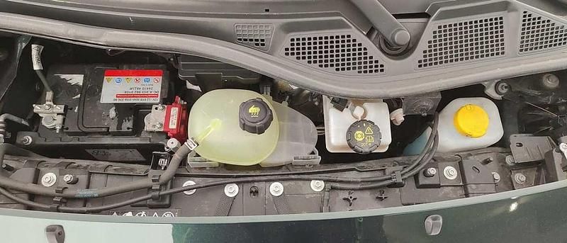 Usata Smart ForTwo Electric Drive 2020 Verde