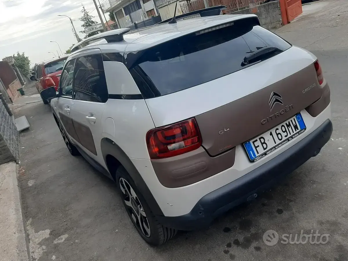 Usata Citroën C4 Cactus Shine 99 CV (72 kW) 2016 Bianco Utilitaria