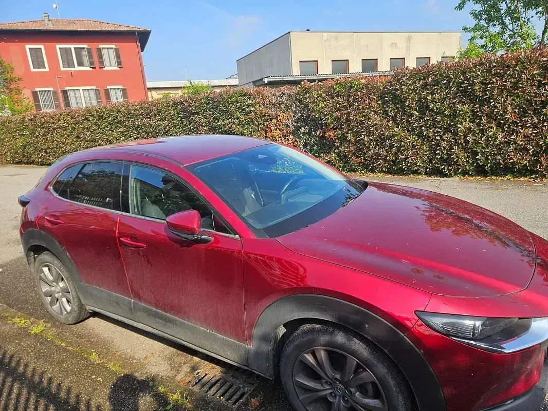 Usata Mazda CX-30 Comfort 150 CV (110 kW) 2023 Rosso SUV