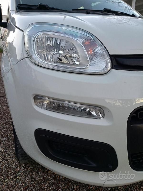 Usata Fiat Panda Lounge 80 CV (58 kW) 2014 Bianco Berlina
