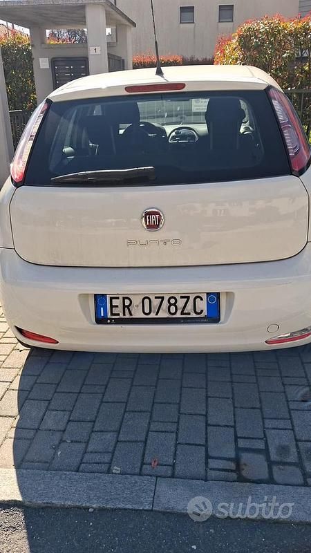 Usata Fiat Punto 69 CV (50 kW) 2013 Utilitaria