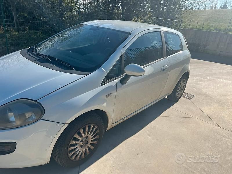 Usata Fiat Punto Evo 2011 Bianco Utilitaria