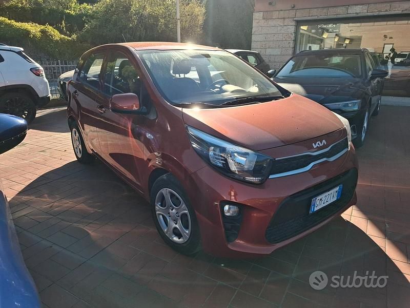 Usata Kia Picanto Urban 67 CV (49 kW) 2023 Arancione Utilitaria