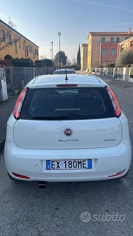 Usata Fiat Punto 2014 Bianco Berlina
