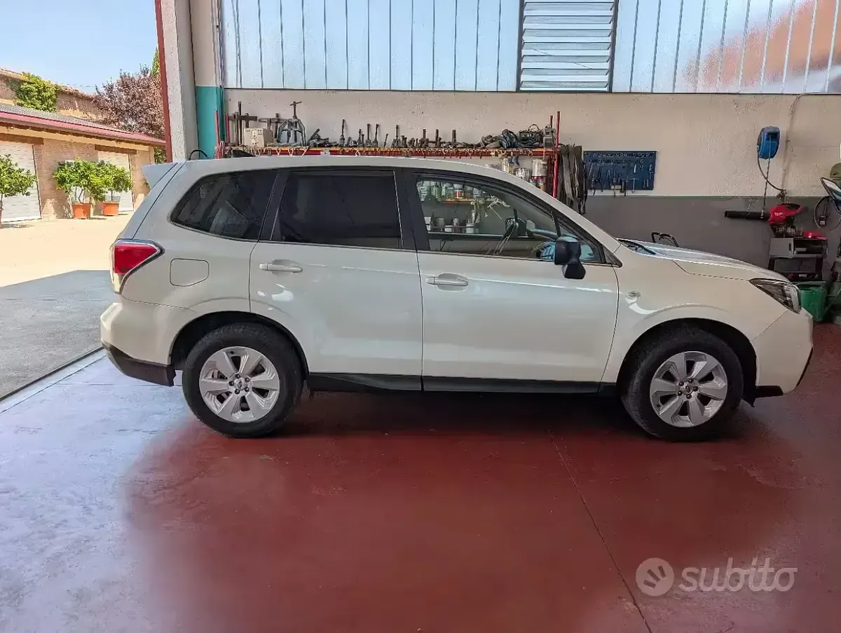 Usata Subaru Forester Style 147 CV (108 kW) 2018 Bianco SUV