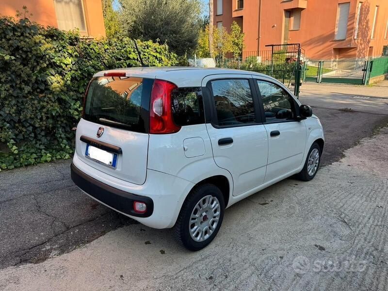 Usata Fiat Panda Easy 69 CV (50 kW) 2020 Bianco Utilitaria