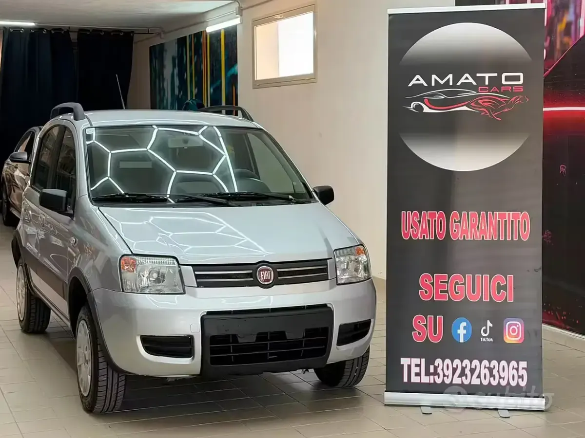 Usata Fiat Panda 4x4 Climbing 69 CV (50 kW) 2007 Utilitaria