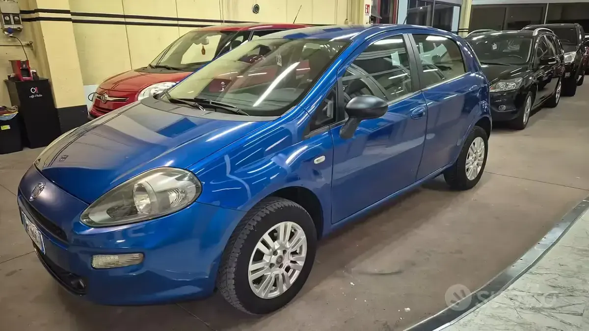 Usata Fiat Punto Lounge 69 CV (50 kW) 2014 Utilitaria