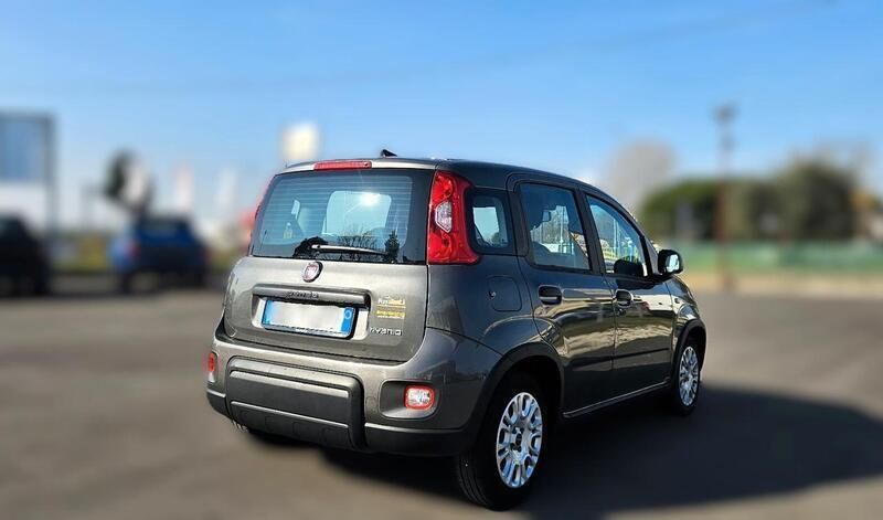 Usata Fiat Panda City Life 70 CV (51 kW) 2023 Grigio Utilitaria