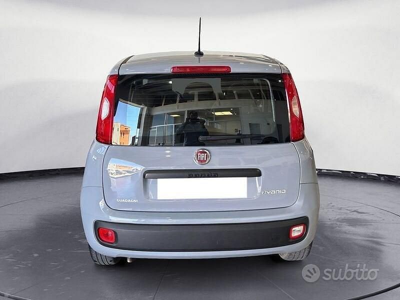Usata Fiat Panda 70 CV (51 kW) 2021 Grigio Berlina