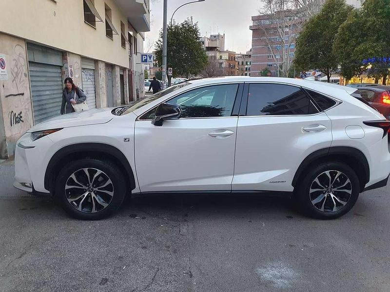 Usata Lexus NX300h Sport Line 155 CV (114 kW) 2015 Bianco SUV