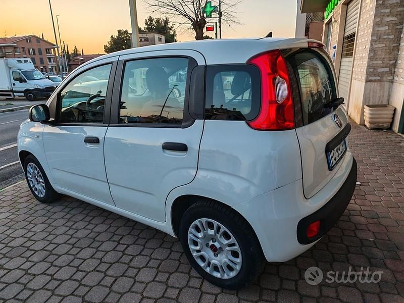Usata Fiat Panda Easy 69 CV (50 kW) 2016 Bianco Utilitaria