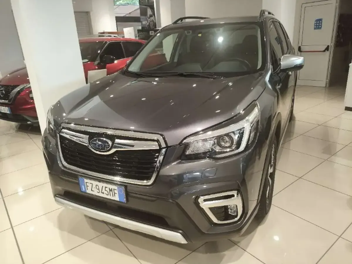 Usata Subaru Forester Premium 150 CV (110 kW) 2019 Canna di fucile SUV