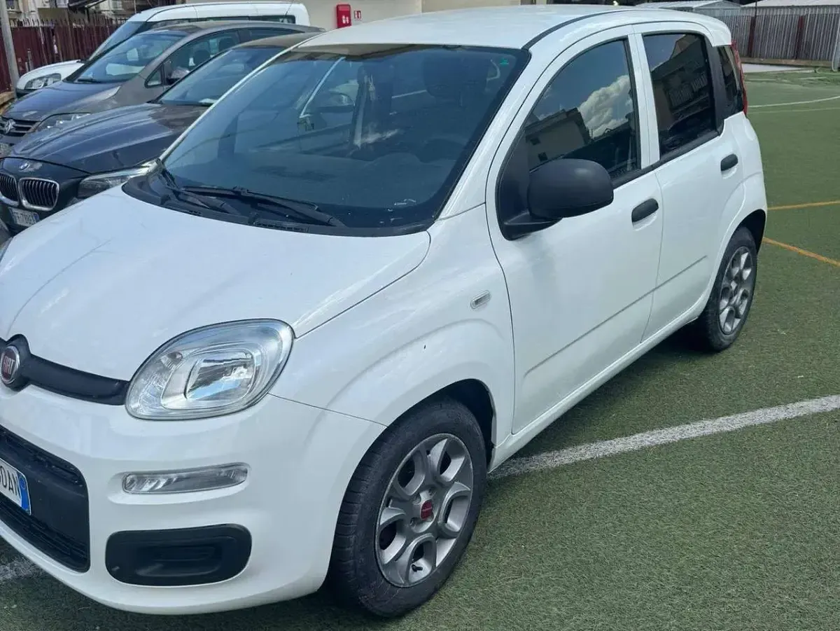 Usata Fiat Panda Active 69 CV (50 kW) 2021 Bianco Utilitaria