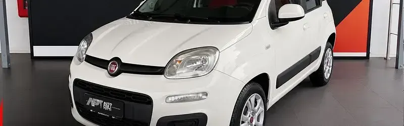 Usata Fiat Panda 4x4 S 95 CV (69 kW) 2016 Grigio scuro Utilitaria