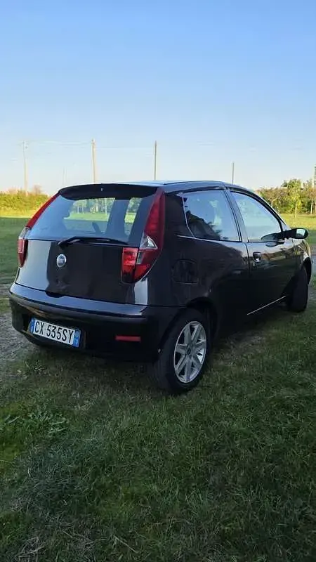 Usata Fiat Punto Active 69 CV (50 kW) 2005 Nero Utilitaria