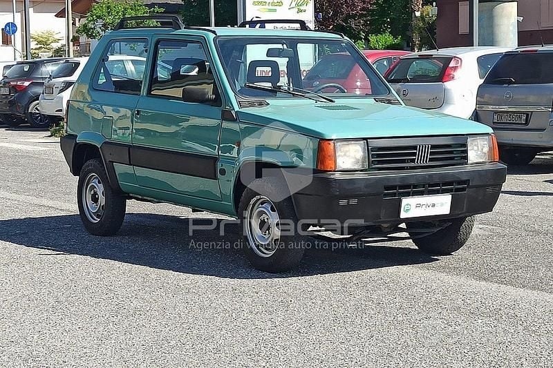 Usata Fiat Panda 4x4 Trekking 54 CV (39 kW) 2003 Verde Utilitaria
