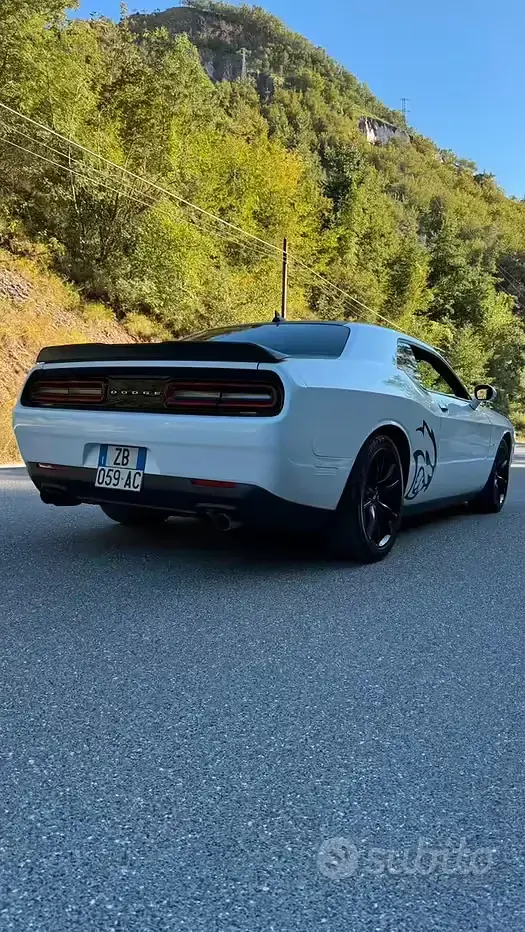 Usata Dodge Challenger 2018 Bianco Coupé