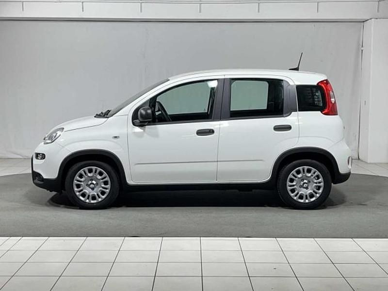Usata Fiat Panda S 69 CV (50 kW) 2024 Bianco Utilitaria