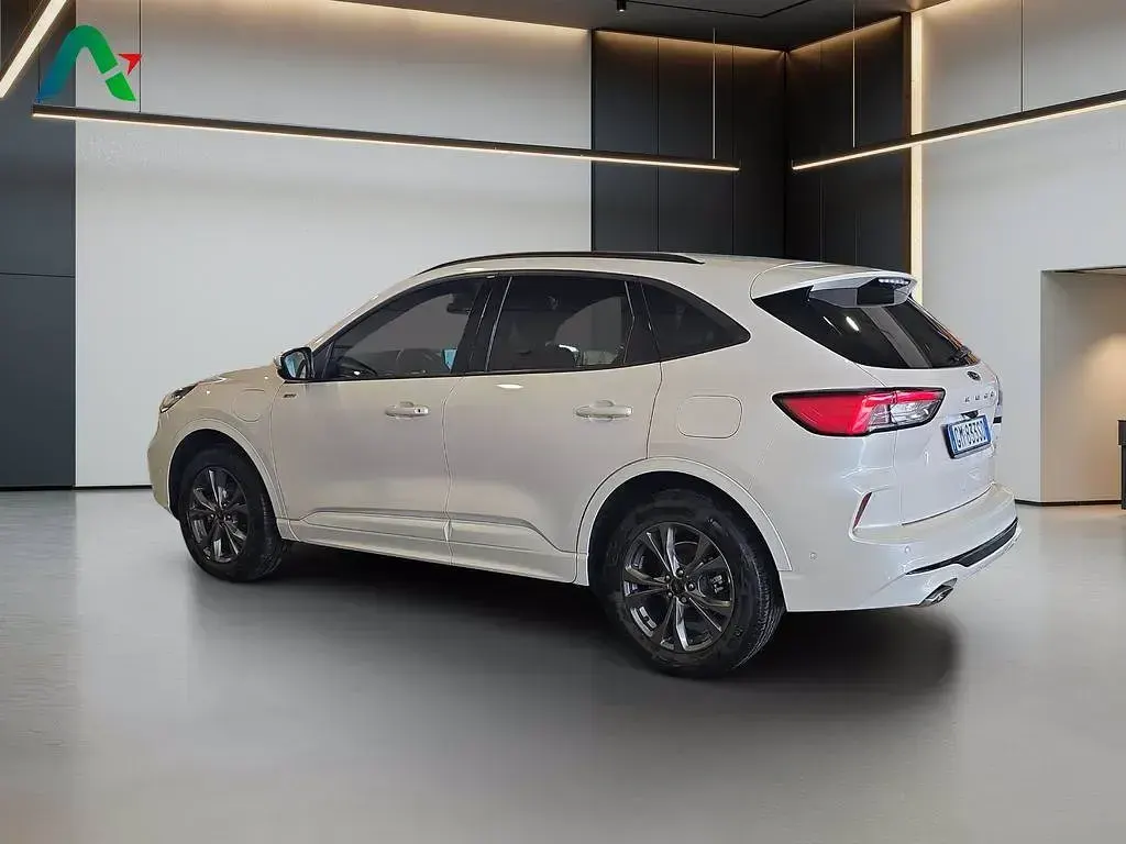 Usata Ford Kuga ST-Line 225 CV (165 kW) 2023 Bianco SUV