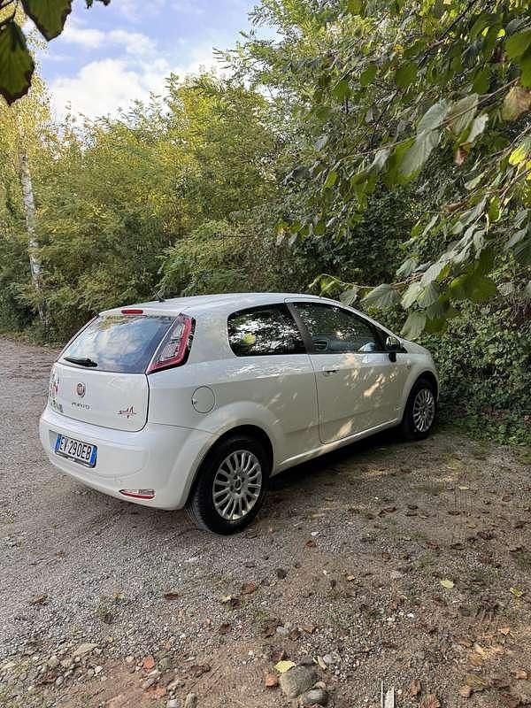 Usata Fiat Punto Street 69 CV (50 kW) 2014 Utilitaria