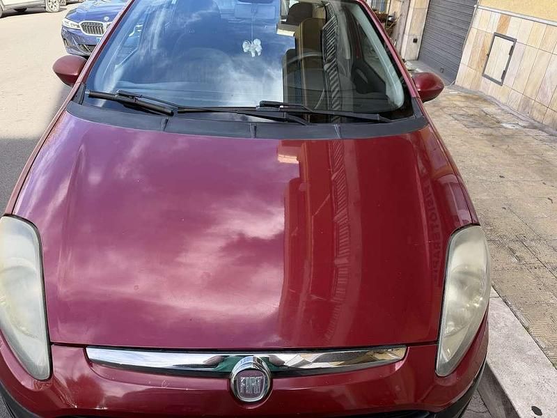 Usata Fiat Punto Evo Emotion 77 CV (56 kW) 2010 Utilitaria