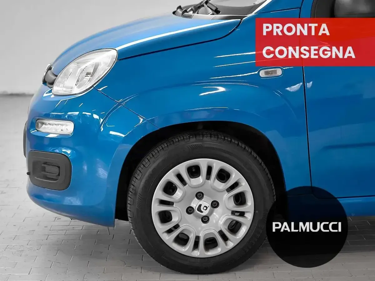 Usata Fiat Panda Icon 69 CV (50 kW) 2025 Blu/azzurro Utilitaria